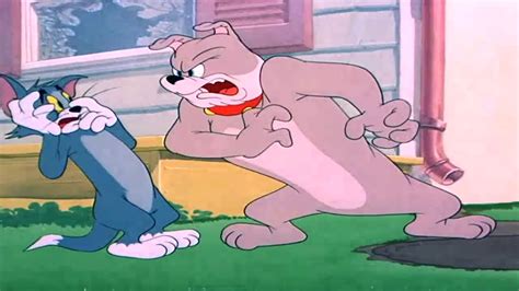 name of dog in tom and jerry